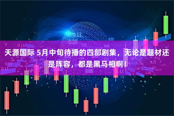 天源国际 5月中旬待播的四部剧集，无论是题材还是阵容，都是黑马相啊！