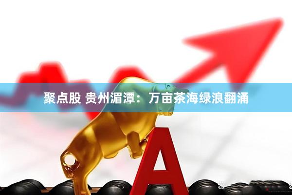 聚点股 贵州湄潭：万亩茶海绿浪翻涌