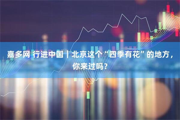 嘉多网 行进中国｜北京这个“四季有花”的地方，你来过吗？