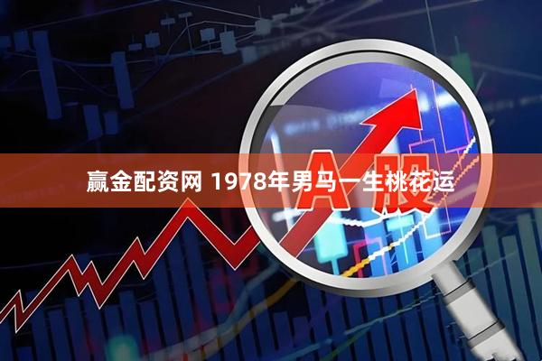 赢金配资网 1978年男马一生桃花运