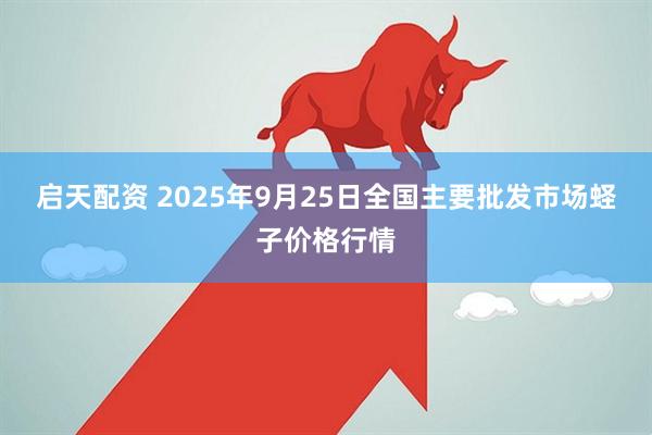 启天配资 2025年9月25日全国主要批发市场蛏子价格行情