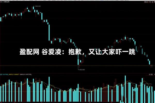 盈配网 谷爱凌：抱歉，又让大家吓一跳